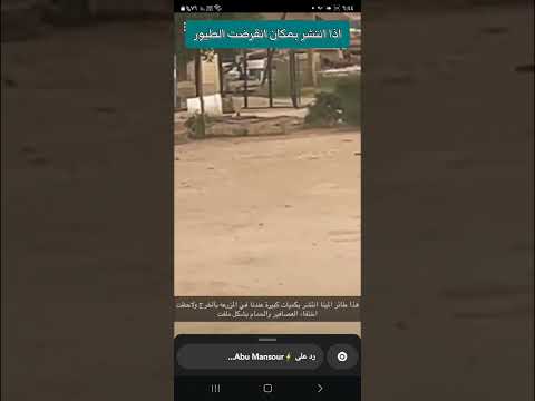 هجوم على منطقة الخرج من طائر المينا