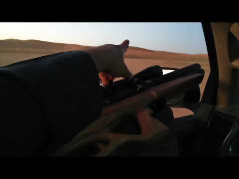 تجميع ادقن ماتادور لونق 100 متر Edgun Matador Long 100m grouping