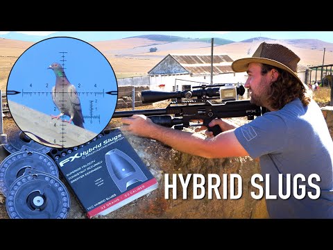 HYBRID Slugs الجديد – مراجعة وتجربة الصيد الاولي