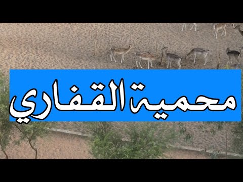 لايفوتك! زيارتي لمحمية القفاري ?? تنوع نباتي وحيواني رهيب في قلب السعودية 0 127