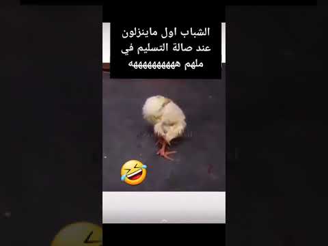 😂 هههههه الشباب اول ماينزلون عند صالة التسليم