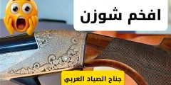 شوزن Raffaello Limited Edition من بنلي | أفخم شوزن في فئة الإصدار المحدود 🔫 شوزن Raffaello Limited Edition من بنلي | أفخم شوزن في فئة الإصدار المحدود 🔫