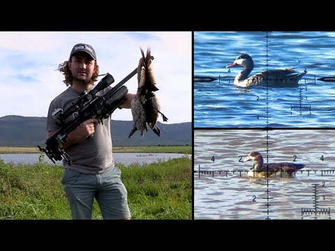 صيد الطيور المائية , بندقية هوائية و بندقية صيد