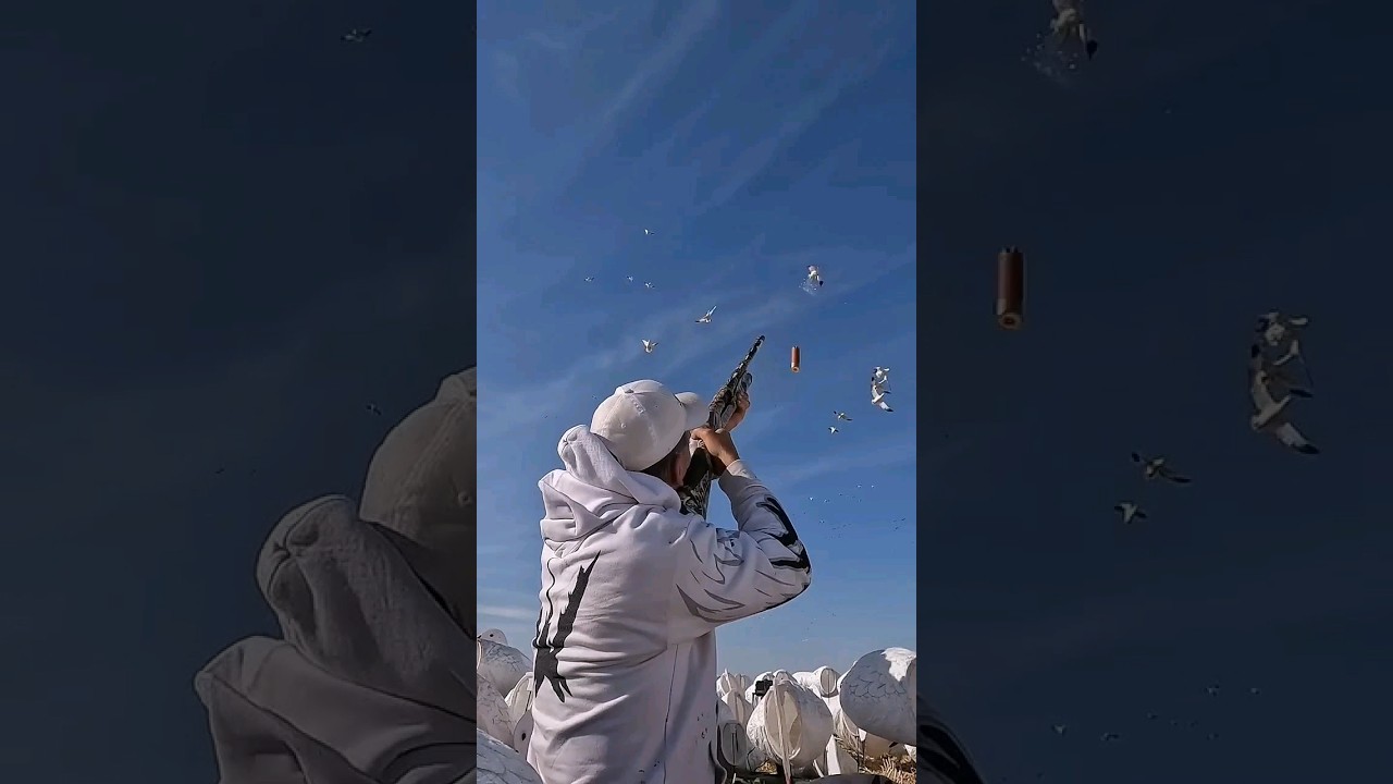 Video Thumbnail: رمي طيار صيد طيور رماية شوزن
