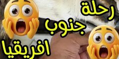 “زيادة ثبات السلاح: تقنيات عملية لتعزيز التجميع وتقليل التشتت”
