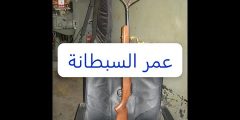عمر السبطانة الحقيقي — كيف تعرف العمر العملي لسبطانة الأسلحة الشائعة (Winchester, Remington, Creedmoor, G3, Magnum, 22lr)
