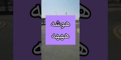 معركة المينا: أسباب مجهولة أم استعراض غريزة؟