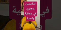 بندقية Jakele J1 تجمع بين سكستين وجثري… ابتكار مذهل للرماية المتعددة