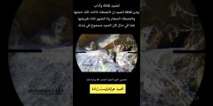 الصيد ثقافة وليس إبادة | رسالة لازم توصل