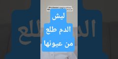 ليش يطلع دم من عيون الحمام بعد الإصابة؟ تفسير علمي صادم