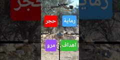 رماية أهداف حجر ومرو بسكستين هيرا الألمانية – دقة وإثارة حقيقية!