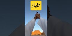 إبداع رمي طيار – مسدس Ataman AP16 مع فارس جمعة