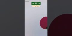 أول تجميع Steyr Pro Varmint 223 | دقة السلاح بعد التركيب تحت المجهر