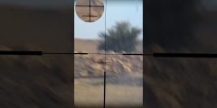 رماية Tikka Super Varmint مع دربيل Kahles – اختبار دقة وتجميع احترافي