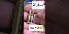 مقارنة بين طلقة 17 HMR و 17 MACH 2 أيهما أفضل للرماية؟