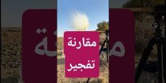 مقارنة تفجير ذخيرة 17 HMR – رأس بلاستيك VS HP أيهما أقوى تأثيرًا؟
