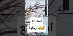 دقة بندقية Epic One الهوائية .. تجربة رماية ممتعة