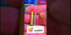 عيار Mach 2 HM2 .. أصغر من 17 HMR لكنه سريع ومفاجئ