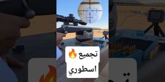 تجميع أسطوري لبندقية Savage Model 12 عيار 223 Rem